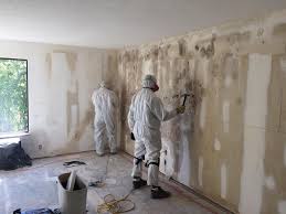 Best Air Quality Testing for Mold Spores  in Troy, NC